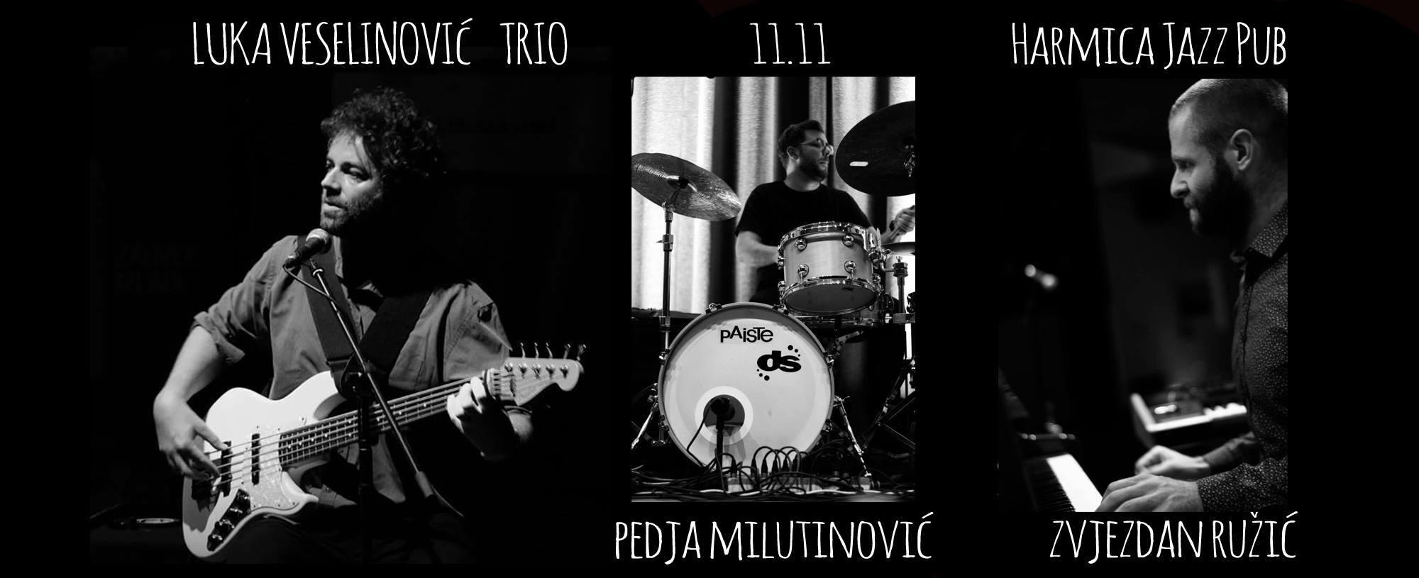 Luka Veselinović trio 11.11.2017. Harmica Jazz Pub