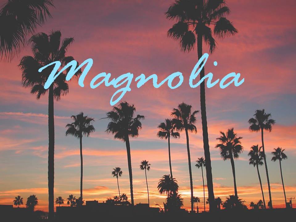 Magnolia LIVE 15.11 Klub 100