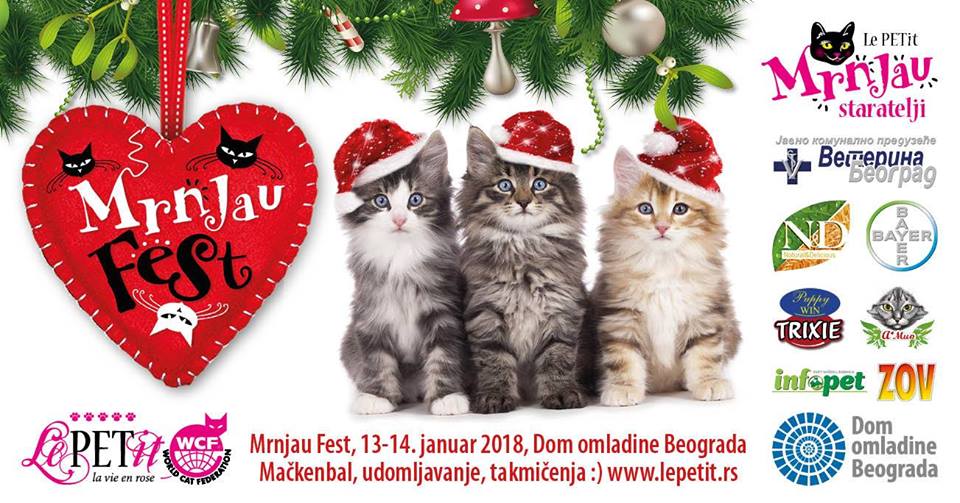 Mrnjau Fest 13-14. 01. 2018, Dom omladine