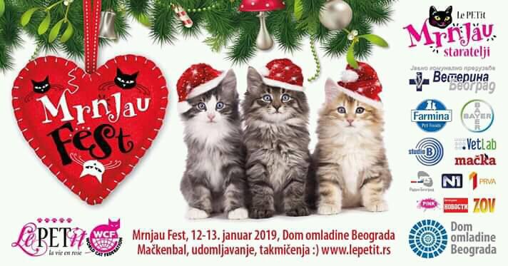 Mrnjau Fest 12 – 13.01.2019. Dom omladine